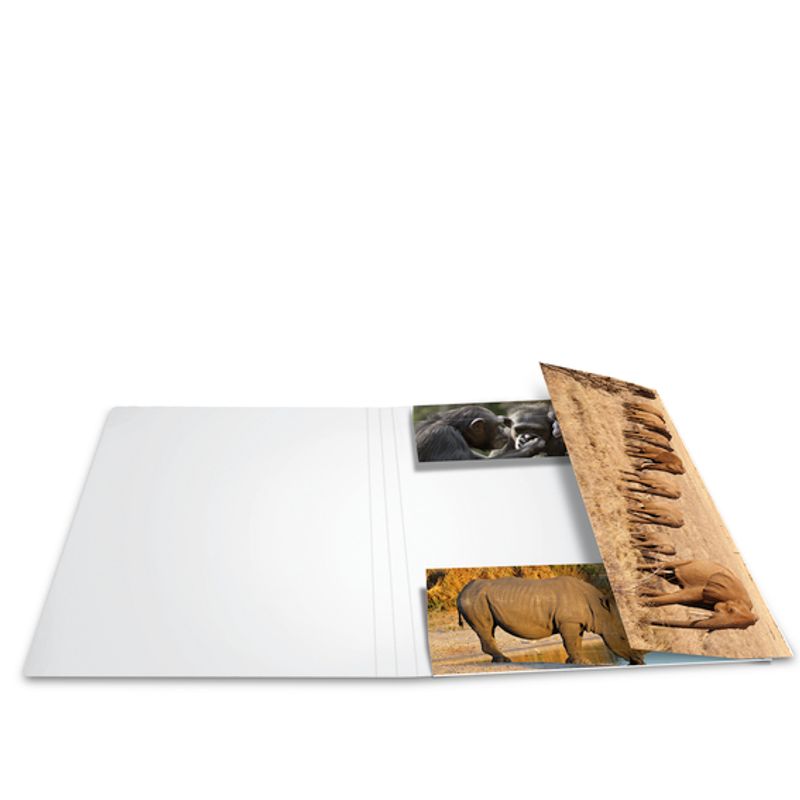 Strikkmappe i robust kartong, A4, Dyr i Afrika (3 pakk)