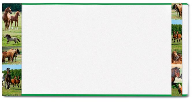 Hovedbilde HERMÄX ferdigbind til bøker, Hest, 260x540 mm (5 ...