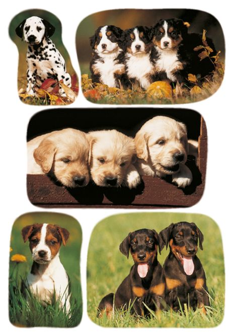 Hovedbilde DECOR Stickers Bilder av hundevalper, 3 ark (10 ...