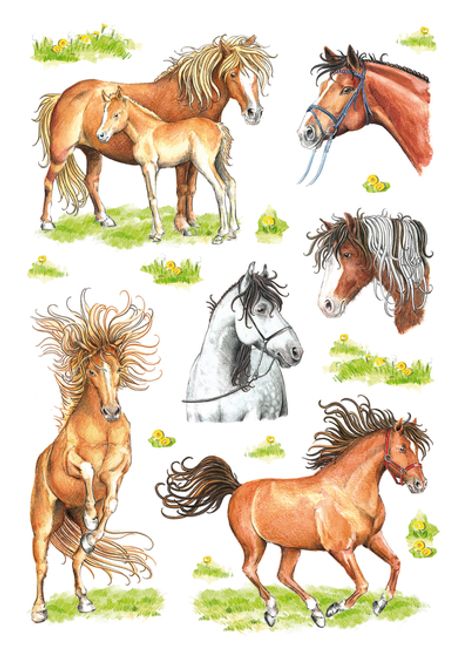Hovedbilde DECOR Stickers Hestebilder, papir, 3 ark (10 ...