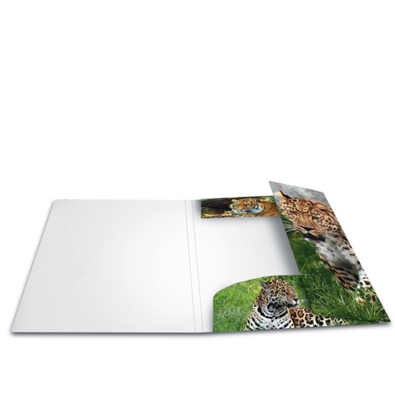 HERMA strikkmappe i plastmateriale, A4, Dyr, Leopard (3 pakk)