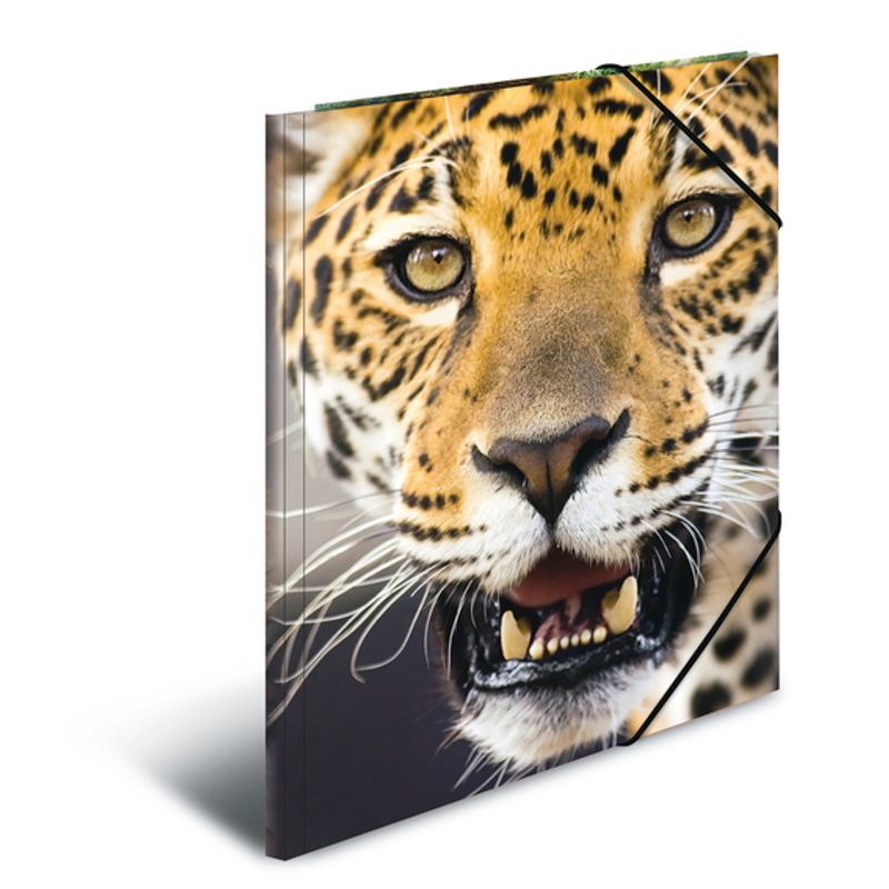 HERMA strikkmappe i plastmateriale, A4, Dyr, Leopard (3 pakk)