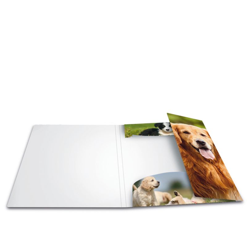 HERMA strikkmappe i plastmateriale, A4, Dyr, Hund (3 pakk)